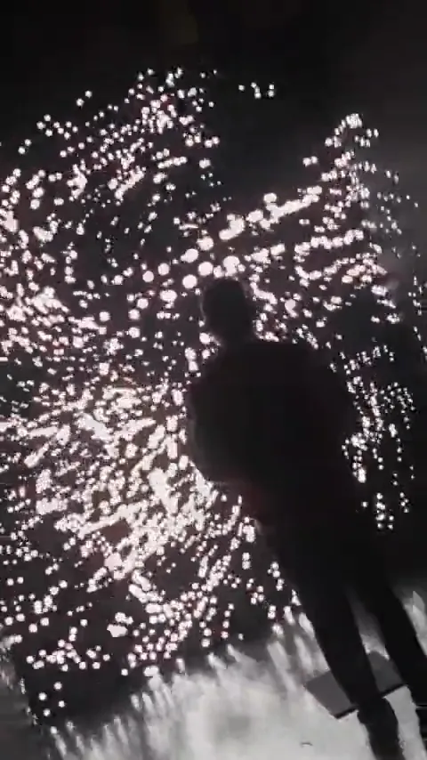 Silhouette inside an immersive light installation